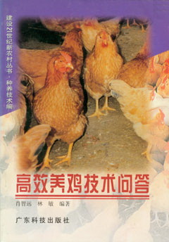 高效養雞技術(shù)問(wèn)答