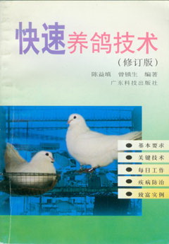 快速養鴿技術(shù)