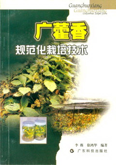 廣藿香規范化栽培技術(shù)
