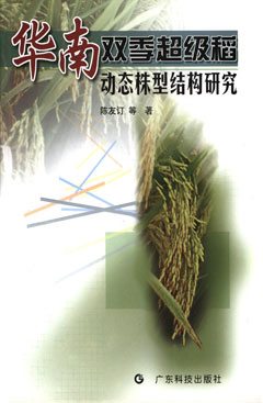 華南雙季超級稻動(dòng)態(tài)株型結構研究