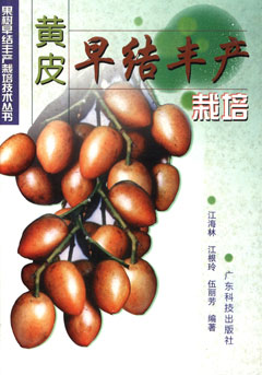 黃皮早結豐產(chǎn)栽培