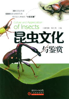 昆蟲(chóng)文化與鑒賞