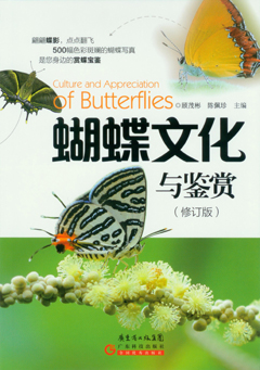 蝴蝶文化與鑒賞