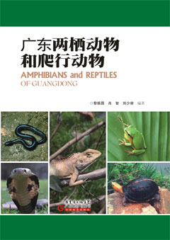 廣東兩棲動(dòng)物和爬行動(dòng)物