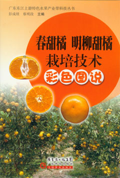 春甜橘　明柳甜橘栽培技術(shù)彩色圖說(shuō)