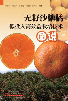無(wú)籽沙糖橘低投入高效益栽培技術(shù)圖說(shuō)
