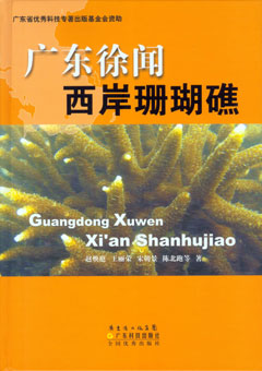 廣東徐聞西岸珊瑚礁
