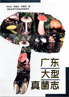 廣東大型真菌志