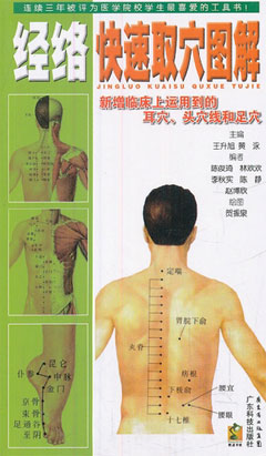 經(jīng)絡(luò )快速取穴圖解