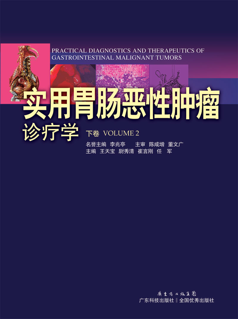 實(shí)用胃腸惡性腫瘤診療學(xué).下卷
