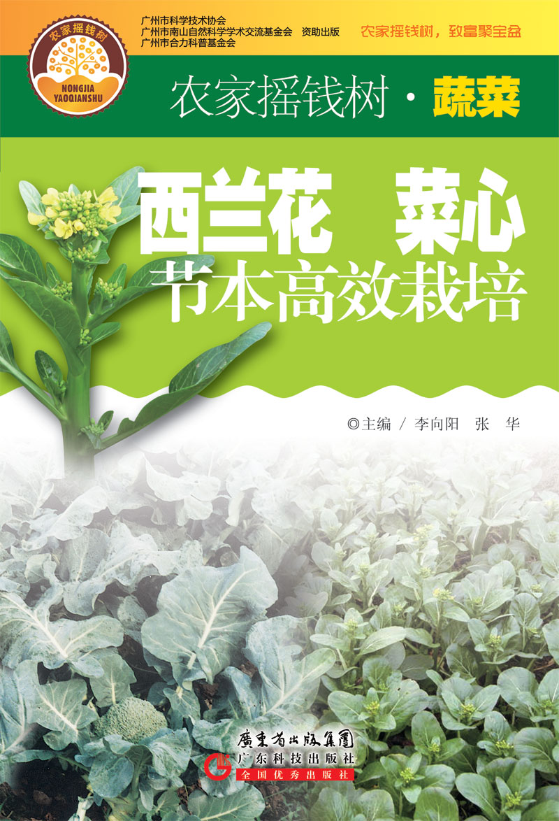 西蘭花　菜心節本高效栽培