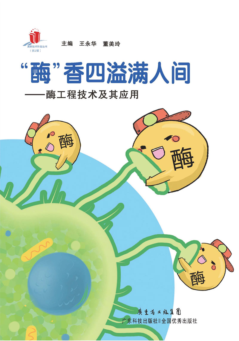 “酶”香四溢滿(mǎn)人間：酶工程技術(shù)及其應用