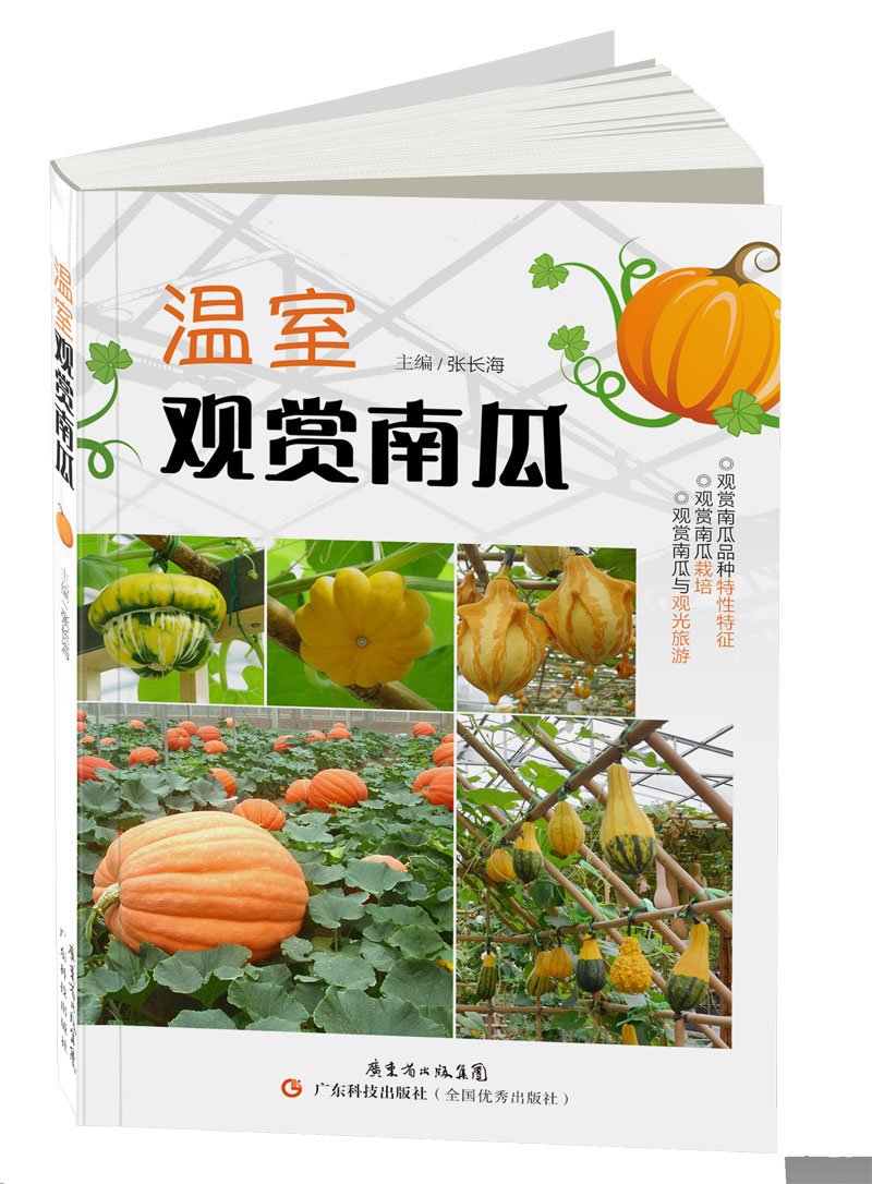溫室觀(guān)賞南瓜