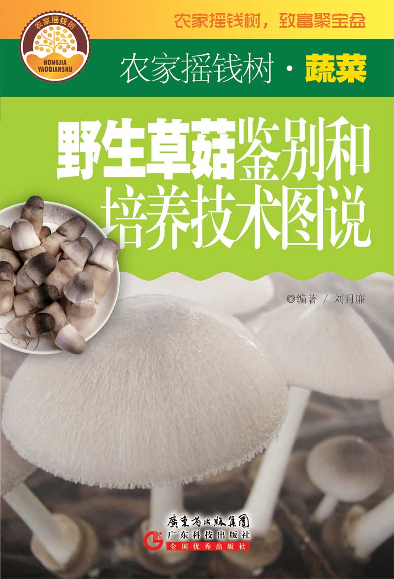 野生草菇鑒別和培養技術(shù)圖說(shuō)