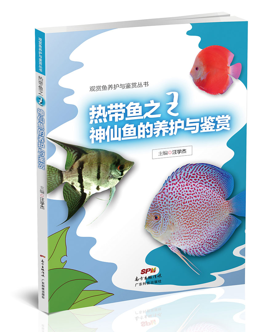 熱帶魚(yú)之王神仙魚(yú)的養護與鑒賞