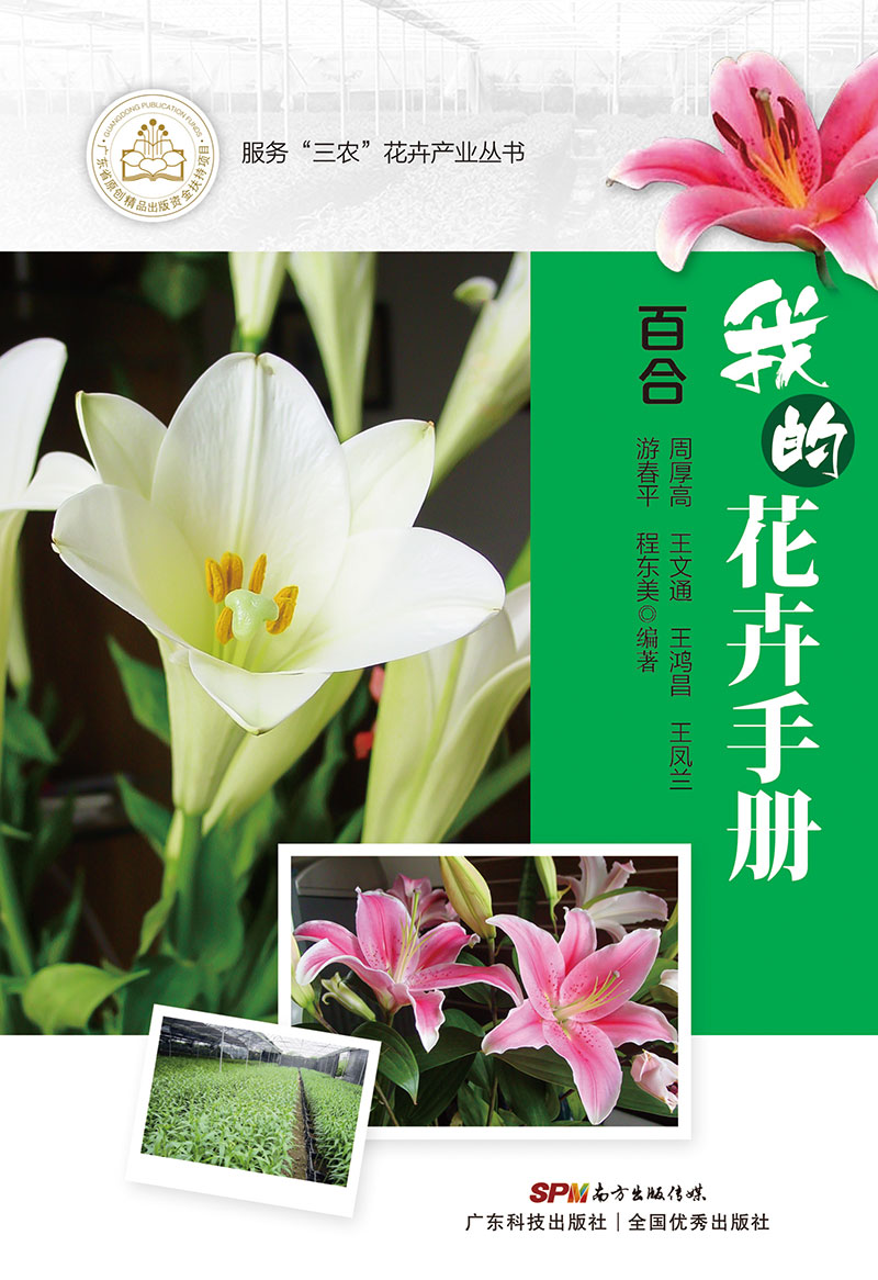 我的花卉手冊——百合