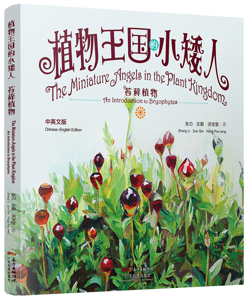 植物王國的小矮人——苔蘚植物