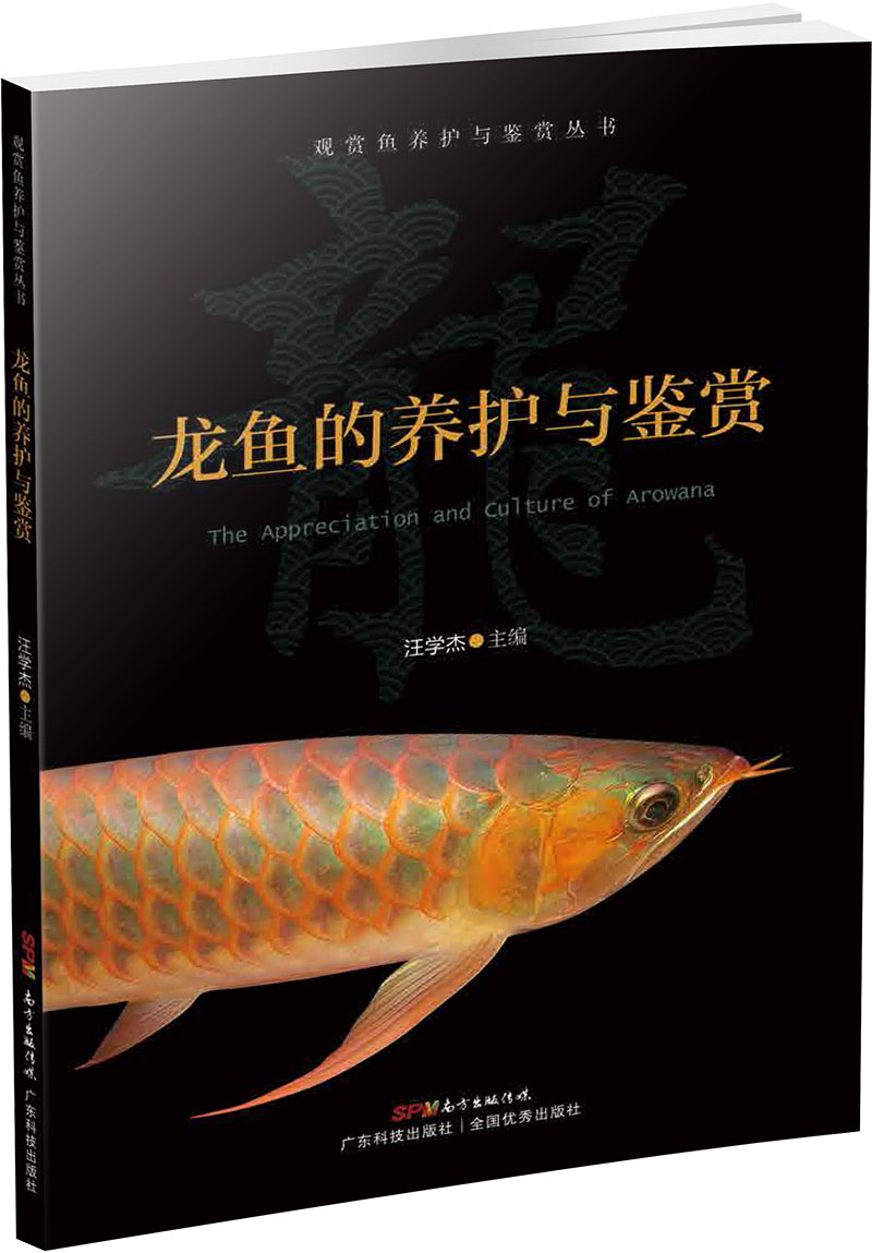 龍魚(yú)的養護與鑒賞