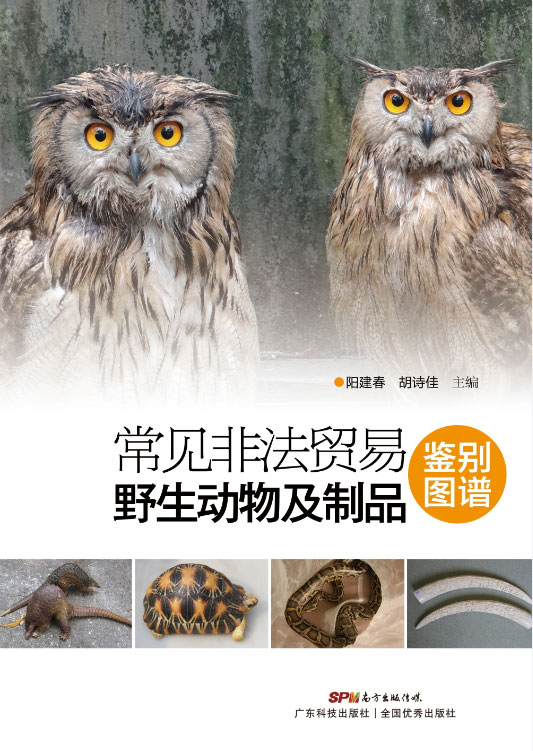 常見(jiàn)非法貿易野生動(dòng)物及制品鑒別圖譜