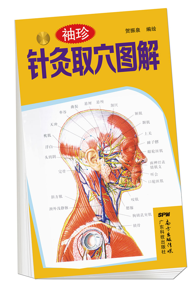 袖珍針灸取穴圖解
