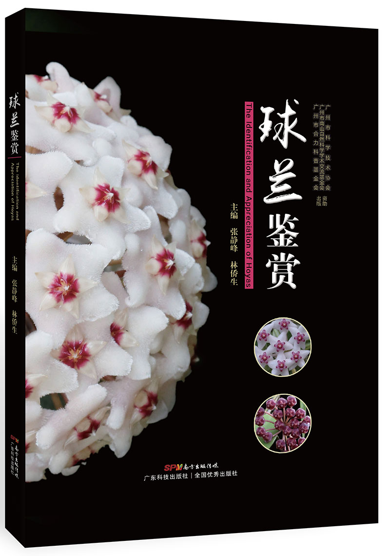 球蘭鑒賞