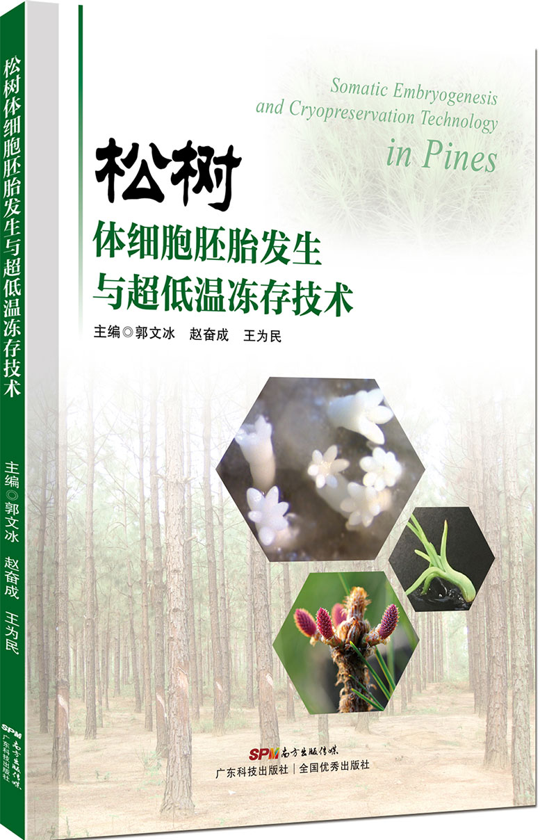 松樹(shù)體細胞胚胎發(fā)生與超低溫凍存技術(shù)（一本超實(shí)用的體細胞胚胎發(fā)生與超低溫凍存技術(shù)圖書(shū)?。?>
                            </div>
                            <div   id=