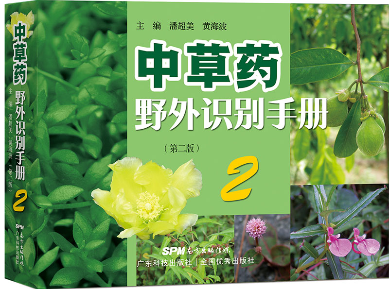 中草藥野外識別手冊2（第二版）（經(jīng)典暢銷(xiāo)13年！快速識別藥用植物，代代相傳本草絕學(xué)?。?>
                            </div>
                            <div   id=