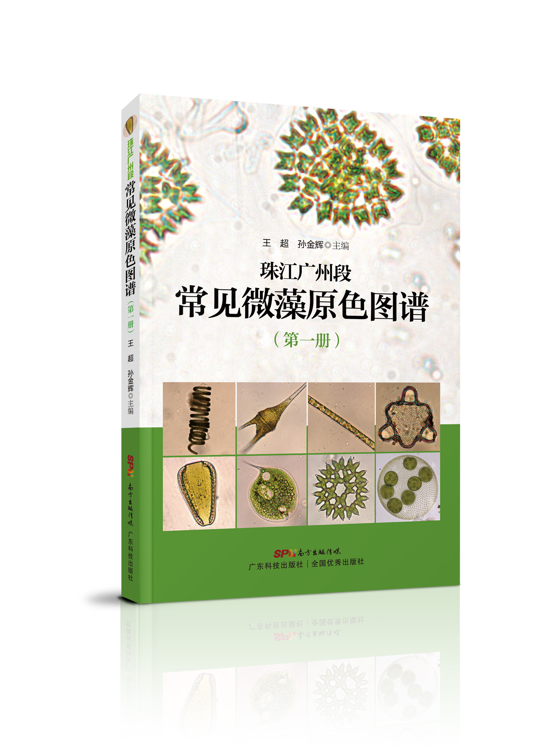 珠江廣州段常見(jiàn)微藻原色圖譜（第一冊）