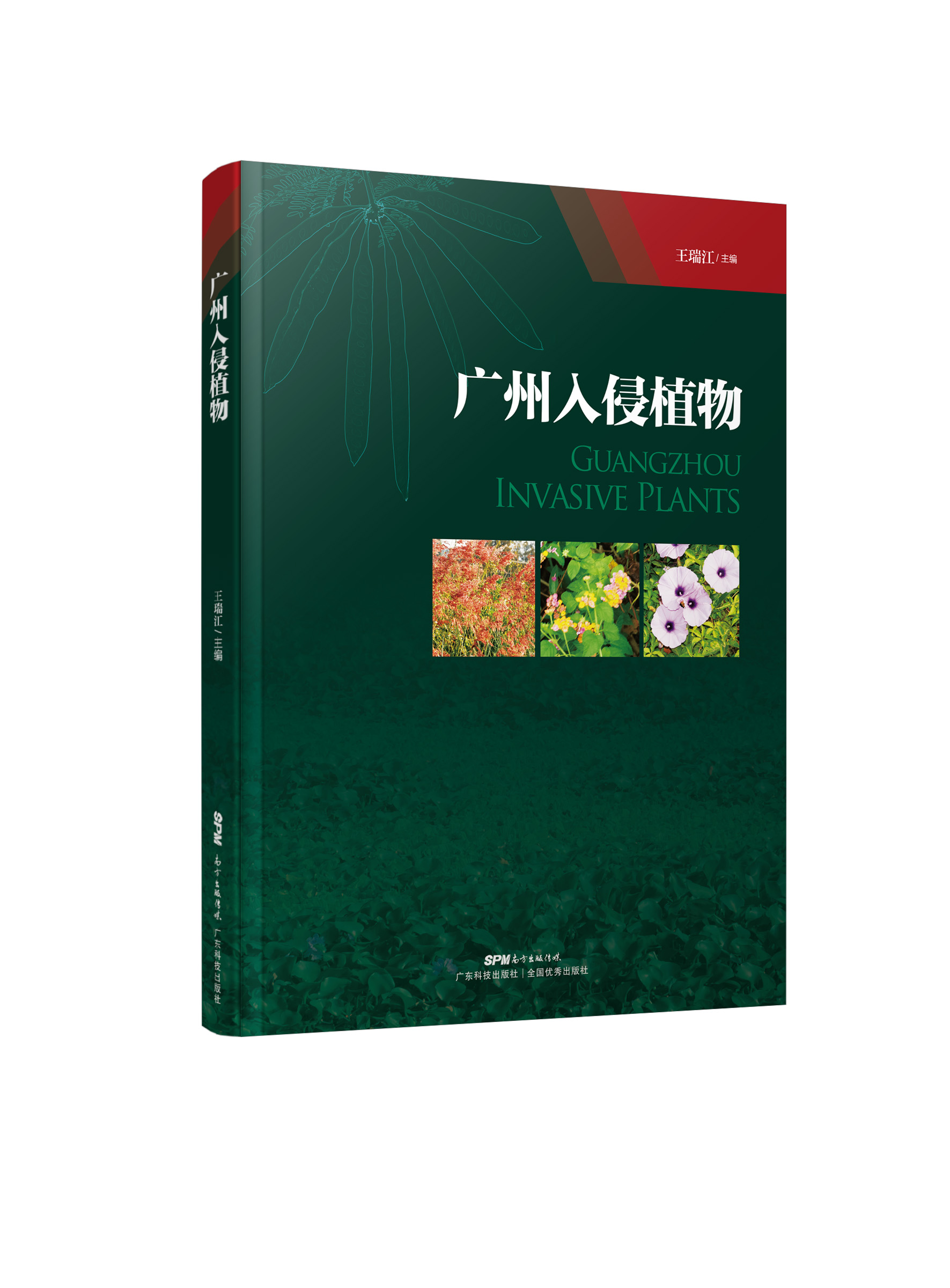 廣州入侵植物