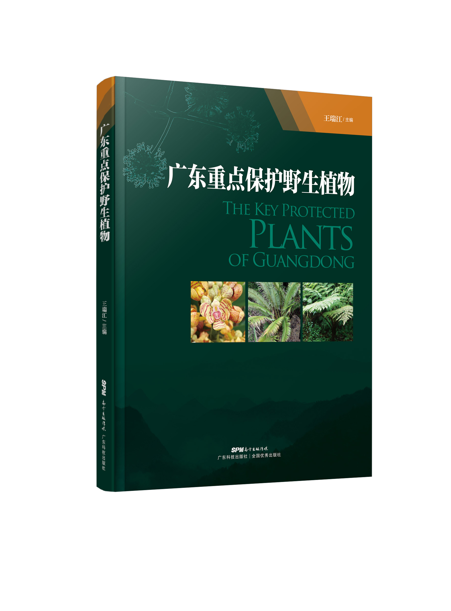 廣東重點(diǎn)保護野生植物