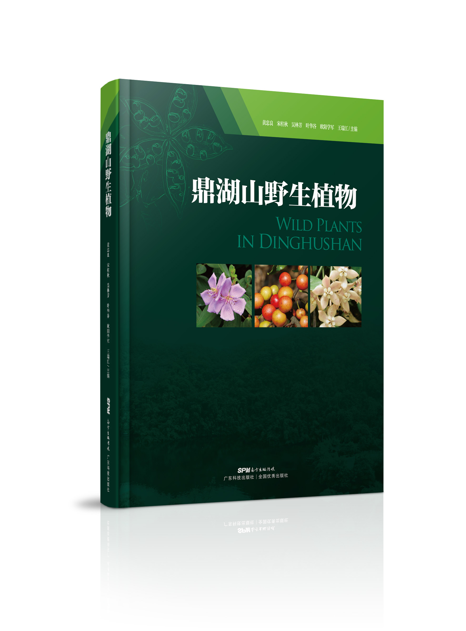 鼎湖山野生植物（鼎湖山植物多樣性與物種寶庫全書(shū)）