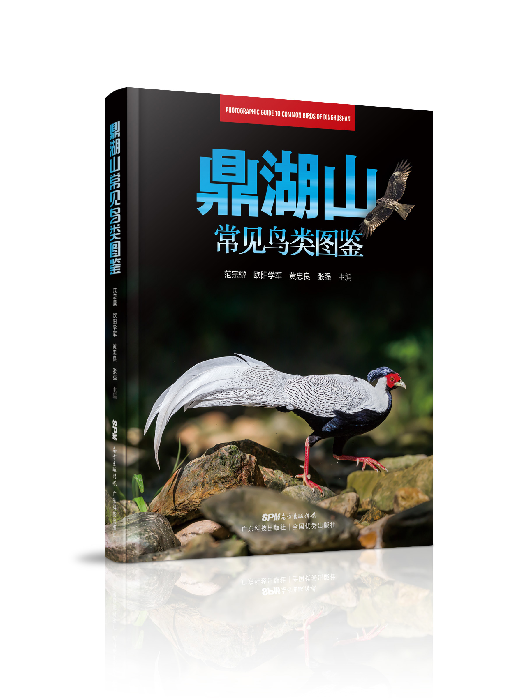 鼎湖山常見(jiàn)鳥(niǎo)類(lèi)圖鑒