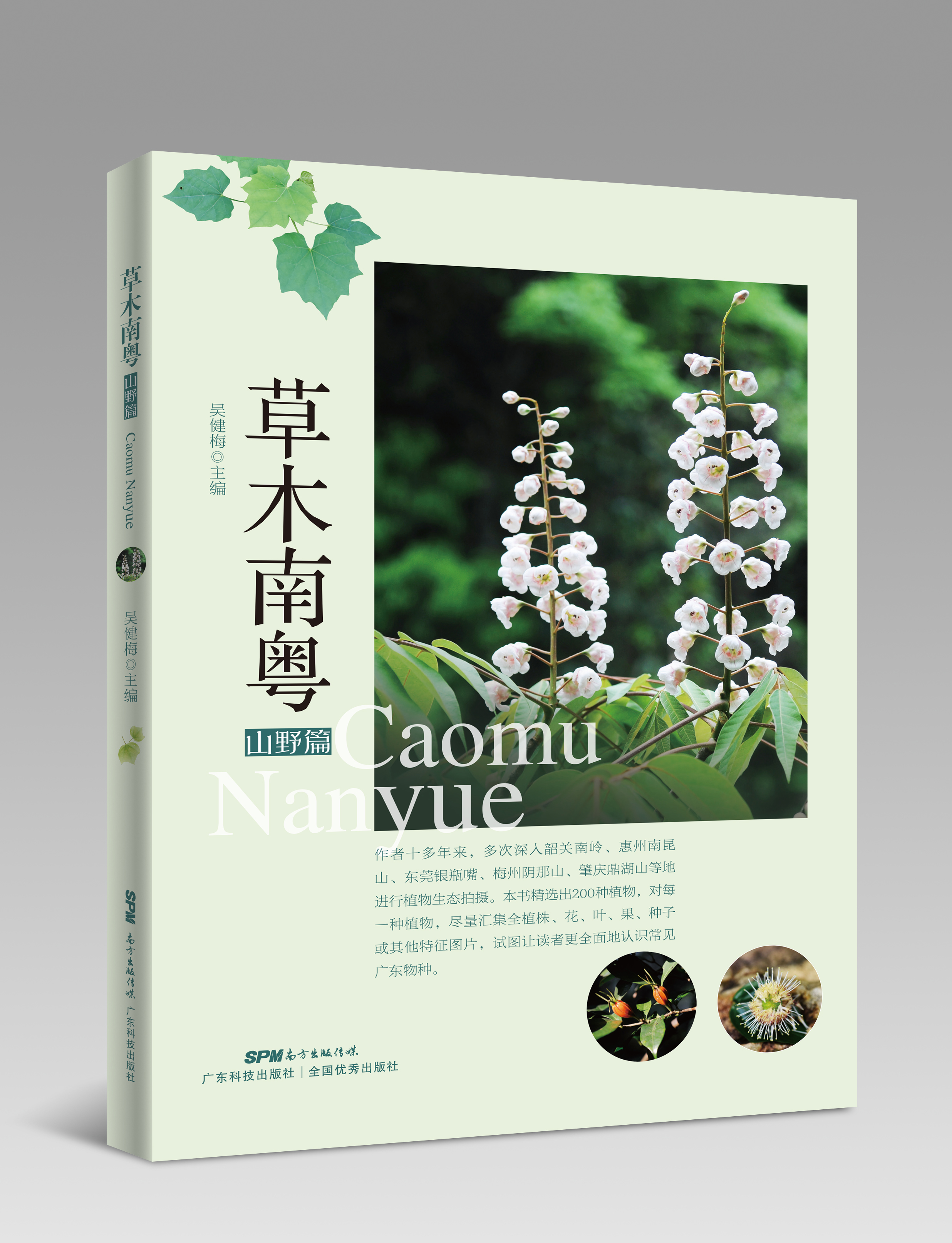 草木南粵（山野篇）
