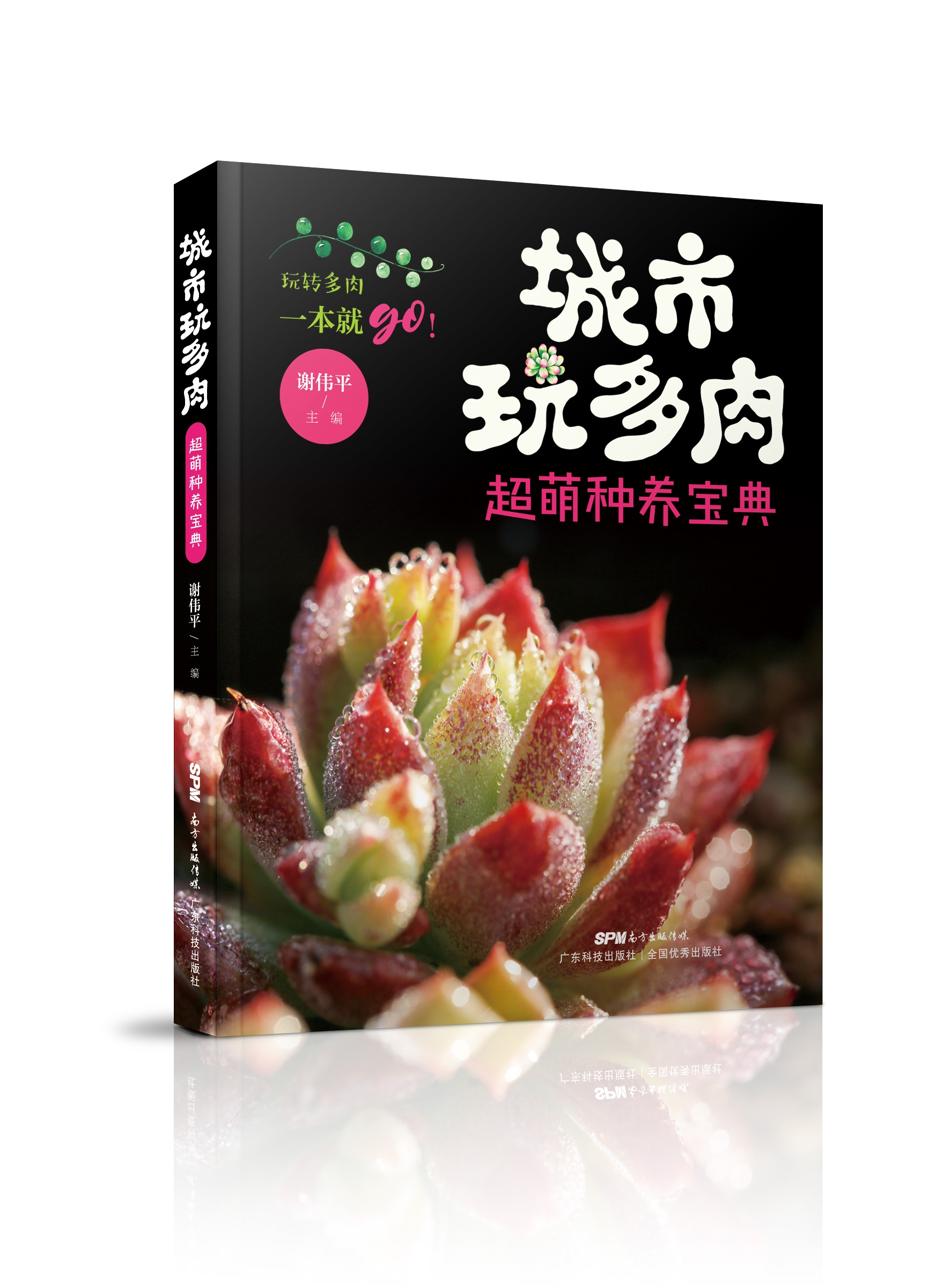 城市玩多肉：超萌種養寶典