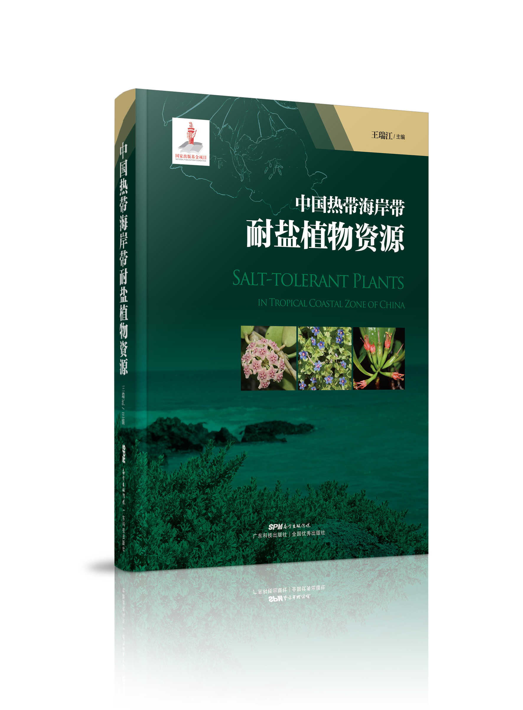中國熱帶海岸帶耐鹽植物資源