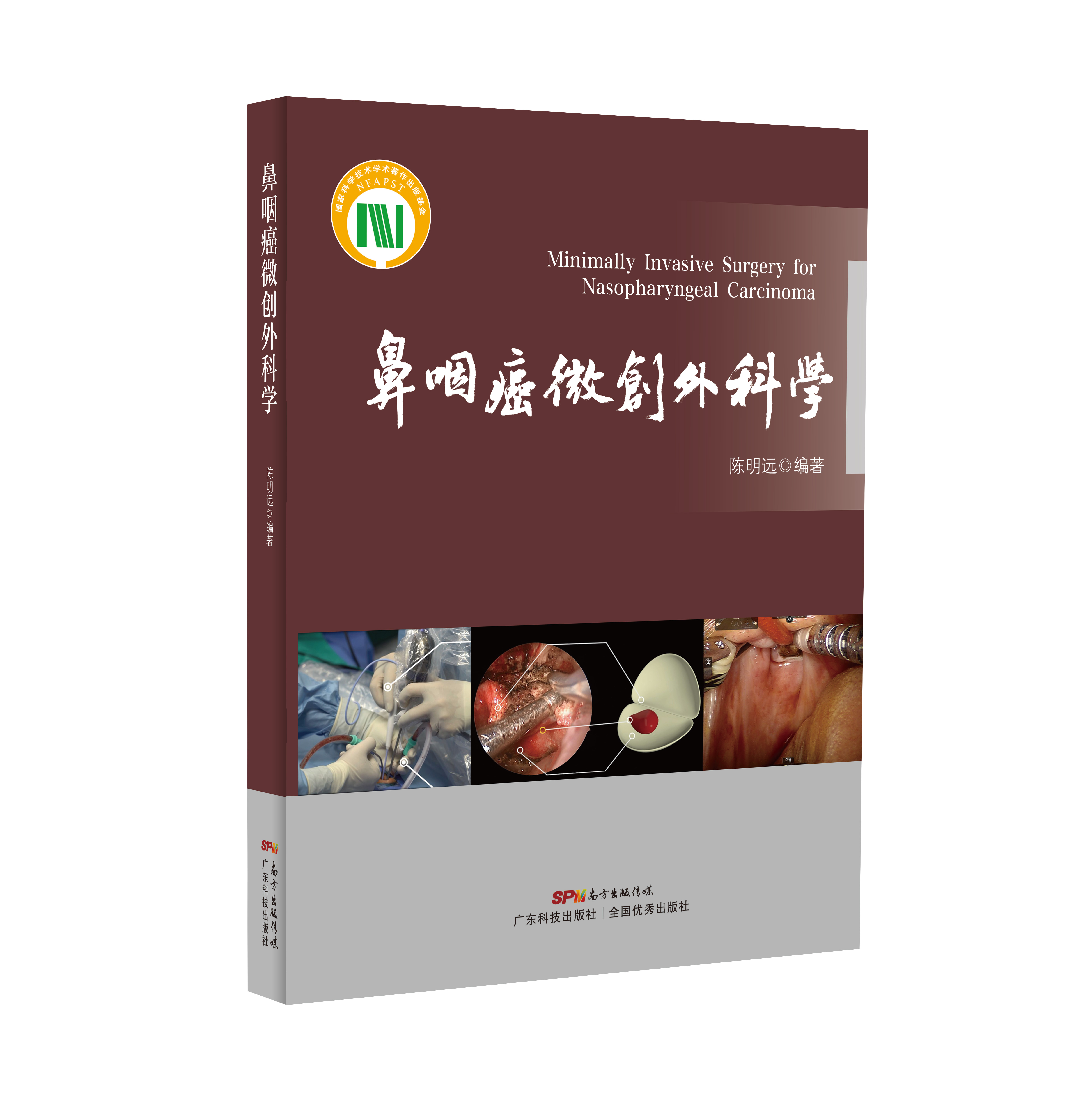 鼻咽癌微創(chuàng  )外科學(xué)