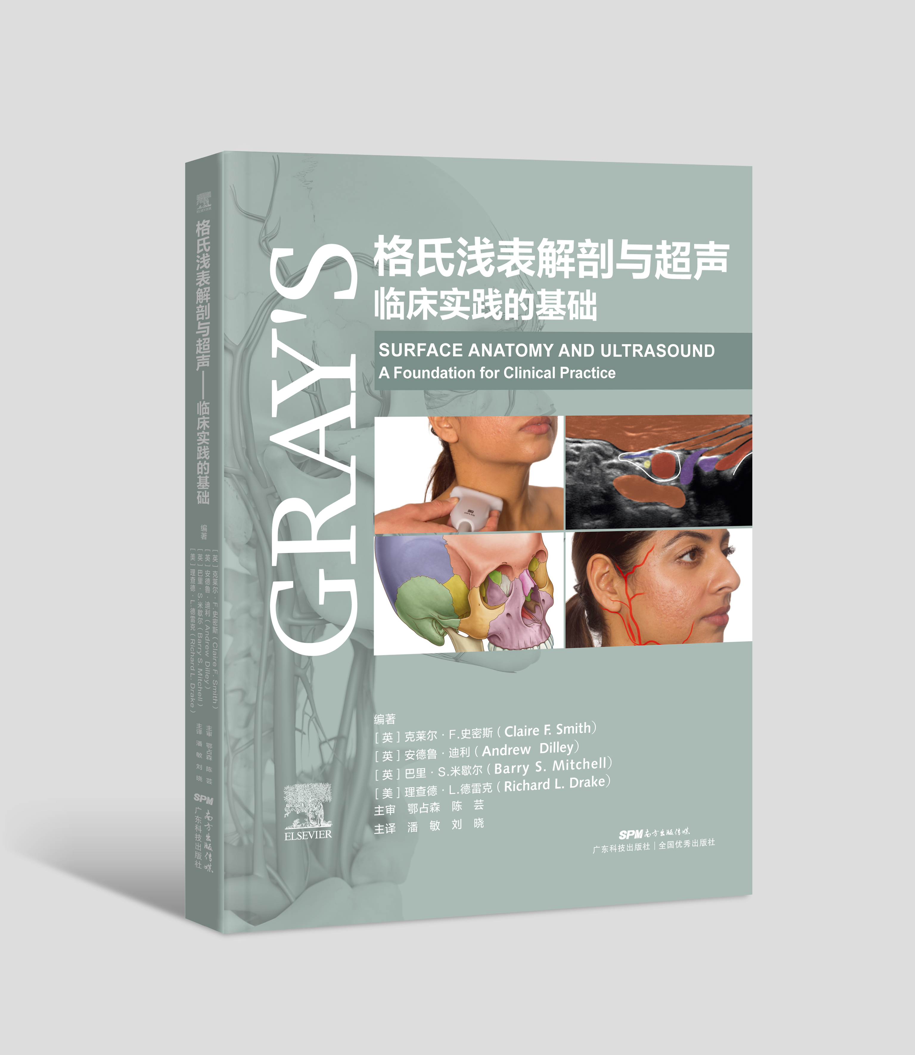 格氏淺表解剖與超聲：臨床實(shí)踐的基礎