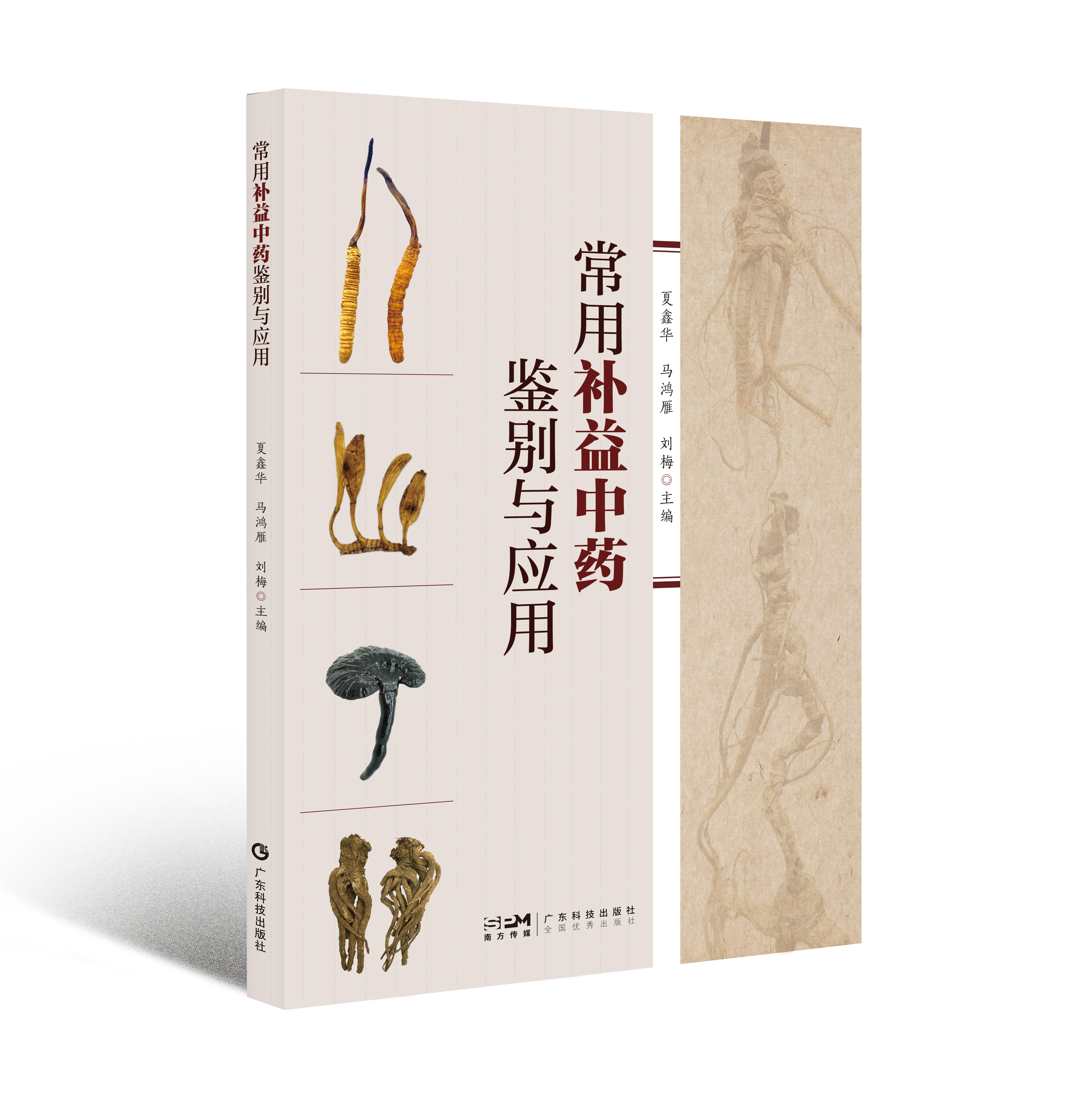 常用補益中藥鑒別與應用