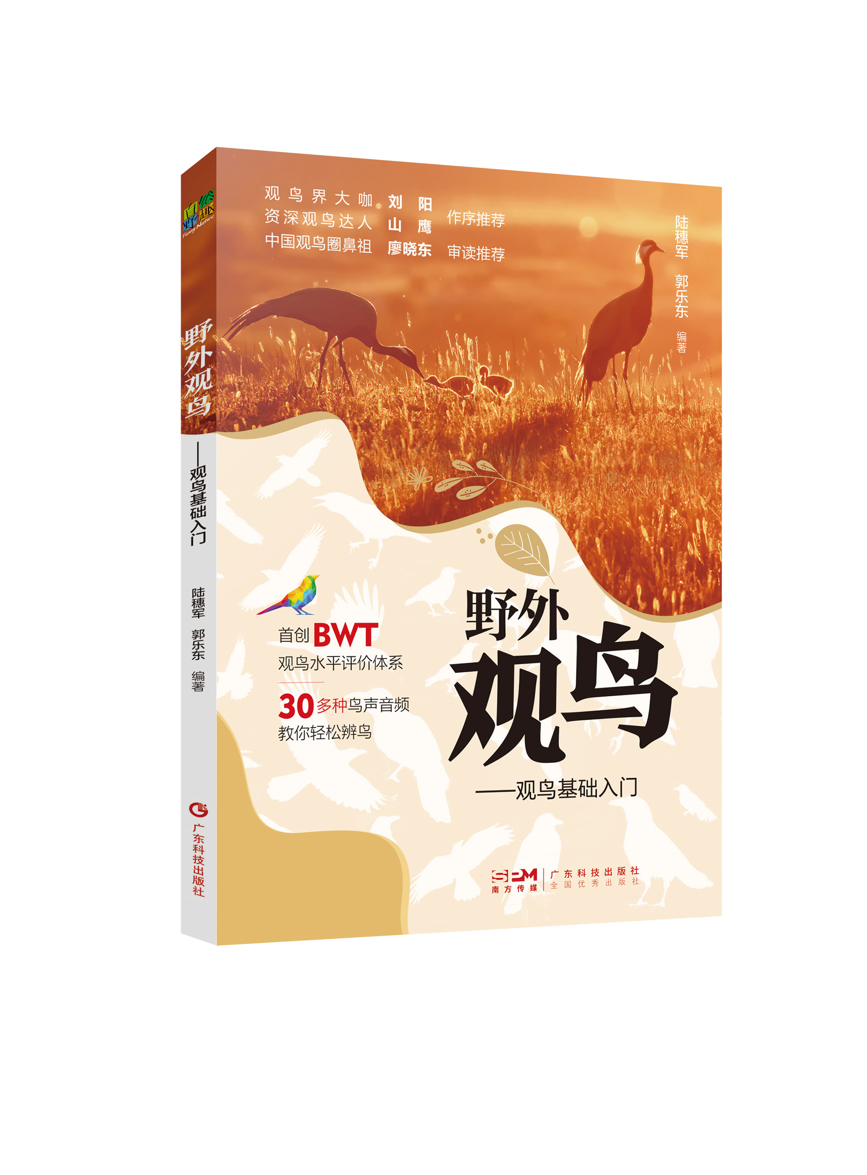 野外觀(guān)鳥(niǎo)——觀(guān)鳥(niǎo)基礎入門(mén)